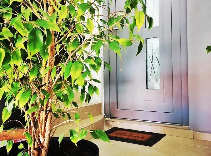 Zahida Lounge * Póla