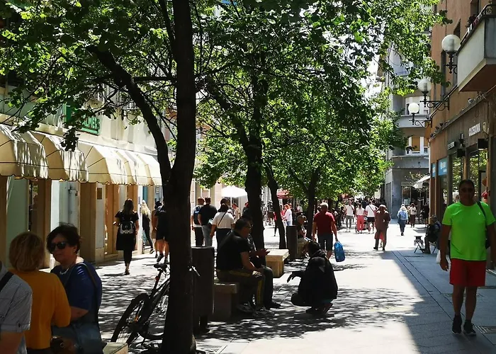 Apartman Zahida Lounge *