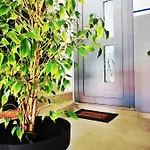 Zahida Lounge * פולה